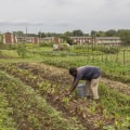 Addressing Food Deserts and Swamps in Blaine County, Idaho