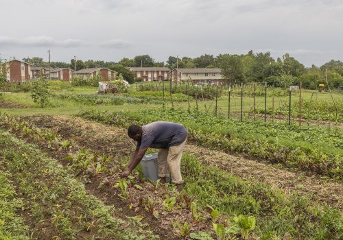Addressing Food Deserts and Swamps in Blaine County, Idaho
